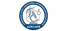 Logo 12